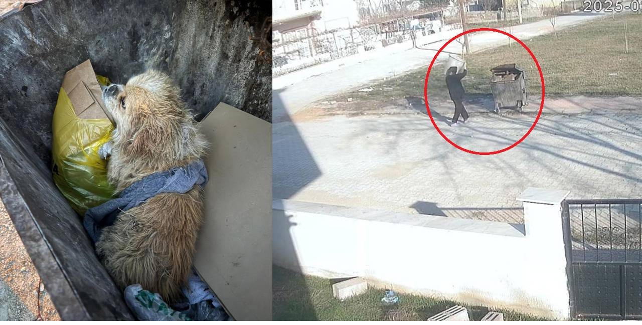 Ayaklarını bağladığı köpeği çöpe attı